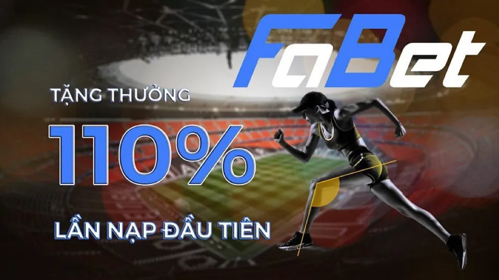 Giấy phép và quy định hoạt động của soi69